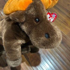 TY Beanie Babies Cuddly Brown Chocolate Moose Plush, 1999 Vintage